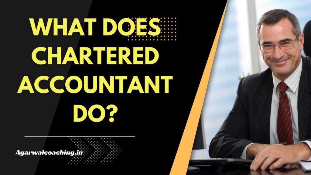 What does Chartered Accountant do?